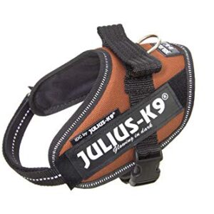 Julius-K9, 16IDC-KOR-MM, IDC Powerharness, dog harness, Size: Mini-Mini, Copper Orange