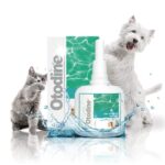 ICF Otodine Dog Ear Cleaner - Drops to Stop Head Shaking, Itchy & Waxy Ears - Vet Recommended, Non-Toxic Ear Cleaning Solution for Dogs - Dropper Bottle 100 ml